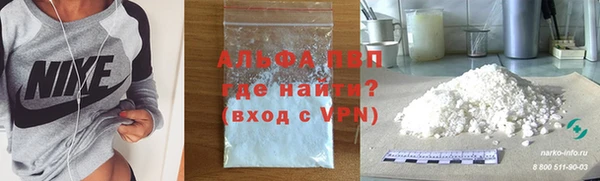 сатива Тобольск
