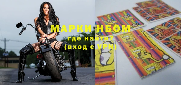 сатива Тобольск
