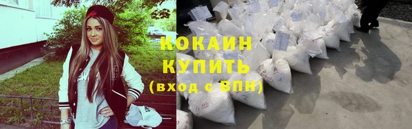 сатива Тобольск