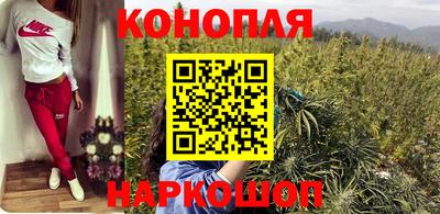 шишки Балашиха