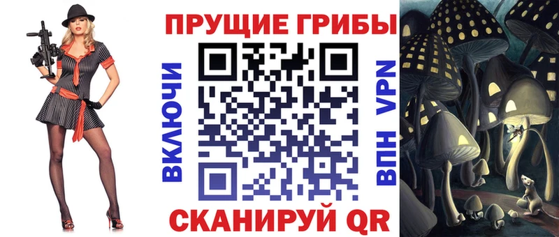 Галлюциногенные грибы Psilocybe  как найти закладки  Стерлитамак 