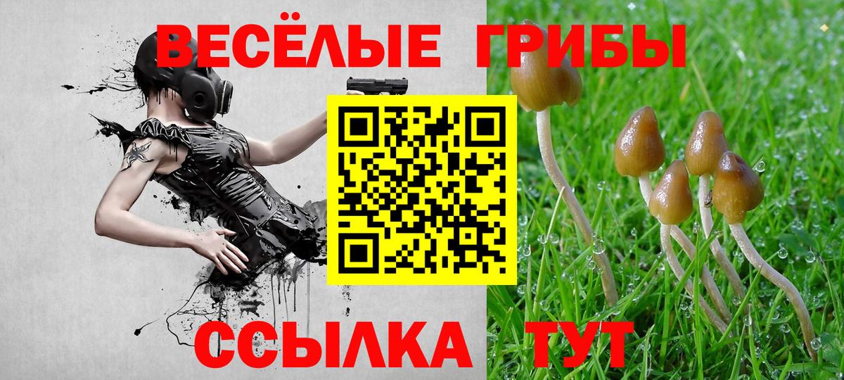 Галлюциногенные грибы мицелий  Вход с VPN  Стерлитамак  Псилоцибиновые грибы мухоморы 
