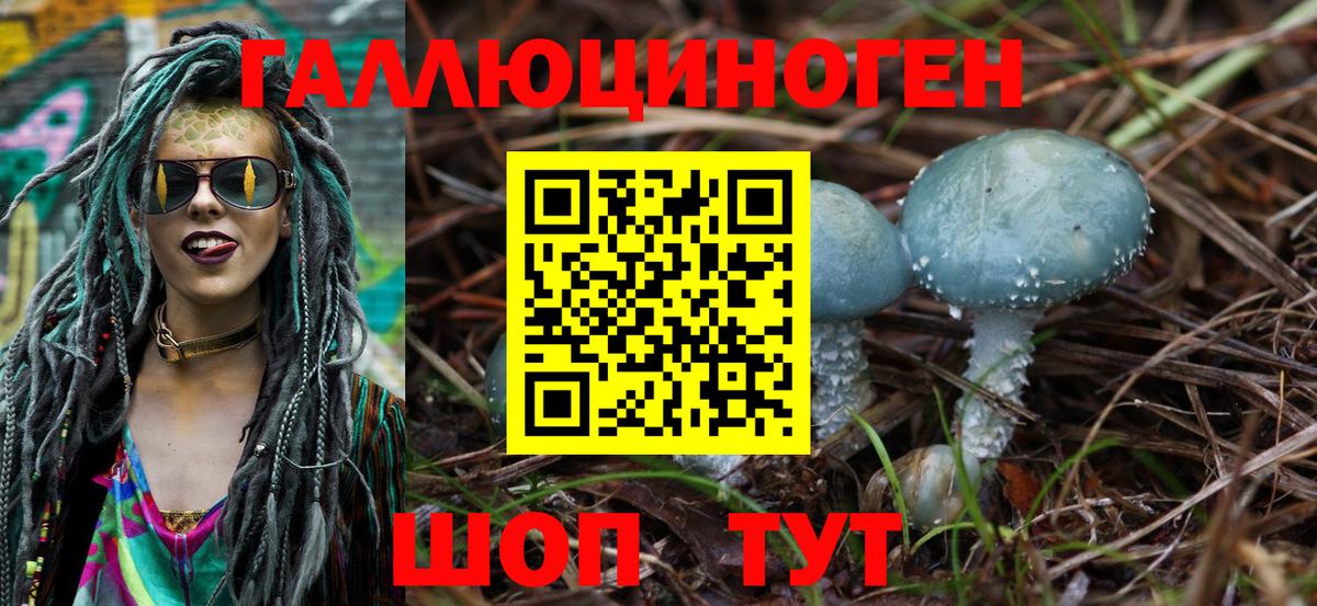 Галлюциногенные грибы GOLDEN TEACHER Стерлитамак