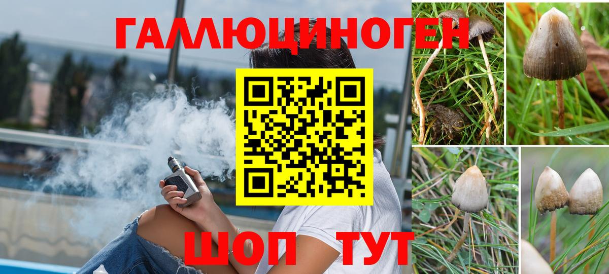 Псилоцибиновые грибы Cubensis  где купить   Стерлитамак 