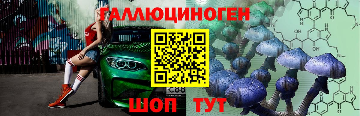 Галлюциногенные грибы Cubensis Стерлитамак